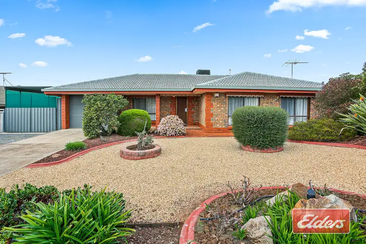 12 Holness Avenue, Gawler East SA 5118