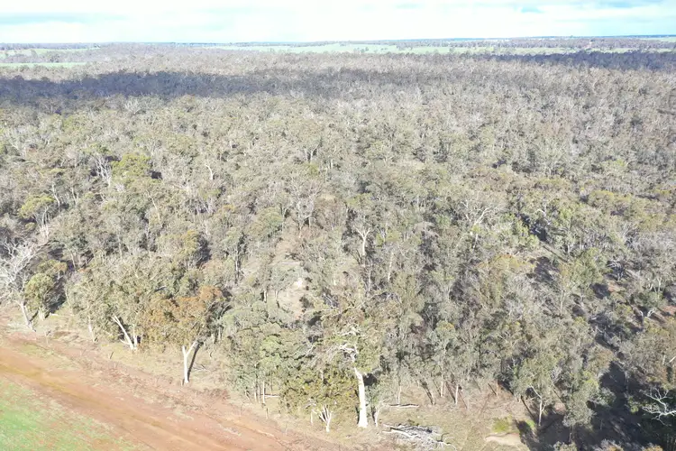 Second view of Homely rural property listing, Lot 6962 Hubbe Road, Kojonup WA 6395