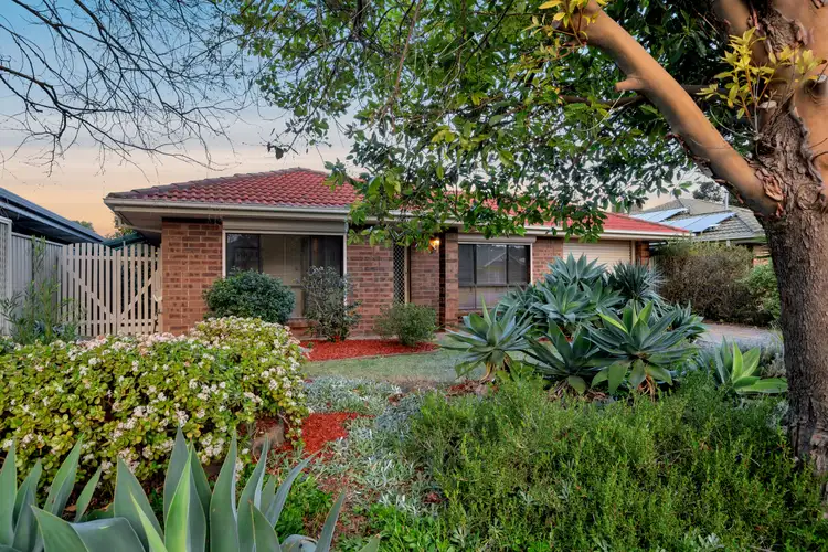 Sixth view of Homely house listing, 15 Gannet Place, Seaford Rise SA 5169
