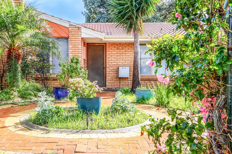 Second view of Homely house listing, 6 Briggs Place, Armadale WA 6112