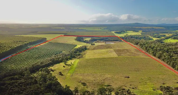 Third view of Homely rural property listing, 258 Greeuw Road, Narrikup WA 6326