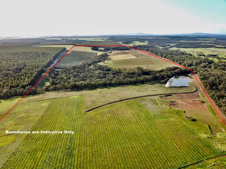 Fourth view of Homely rural property listing, 258 Greeuw Road, Narrikup WA 6326