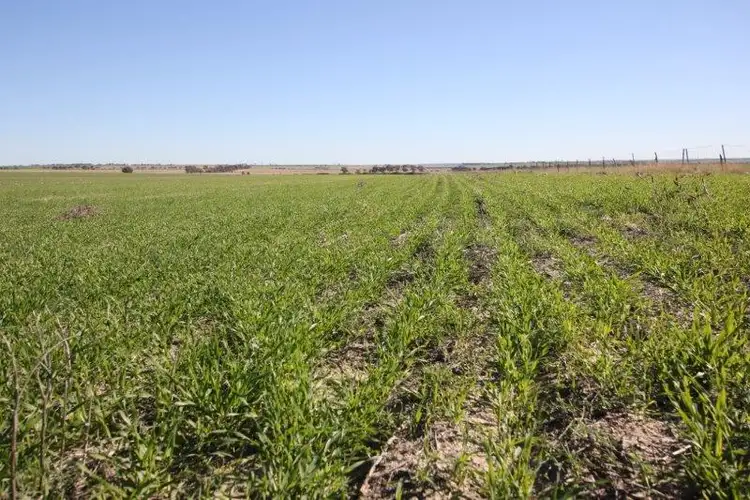 Sixth view of Homely rural property listing, Lot 26776 Mathew Road, Cunderdin WA 6407