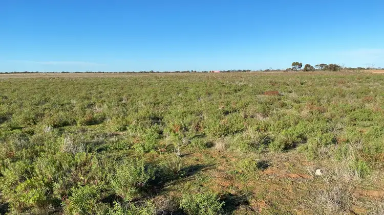 Fifth view of Homely rural property listing, A 4, 16 & 18 Princes Highway, Tailem Bend SA 5260