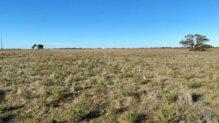 Seventh view of Homely rural property listing, A 4, 16 & 18 Princes Highway, Tailem Bend SA 5260