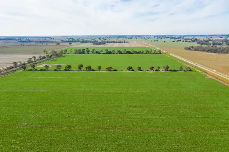 Address available on request