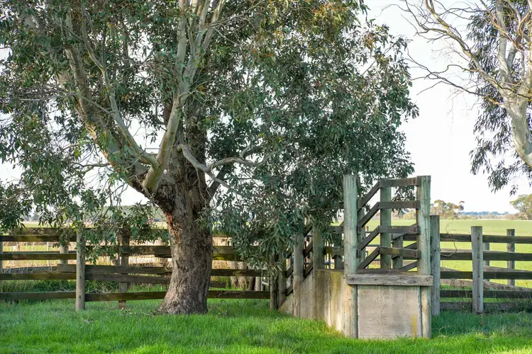 Fifth view of Homely rural property listing, 164 STRACHANS ROAD, Strathkellar VIC 3301