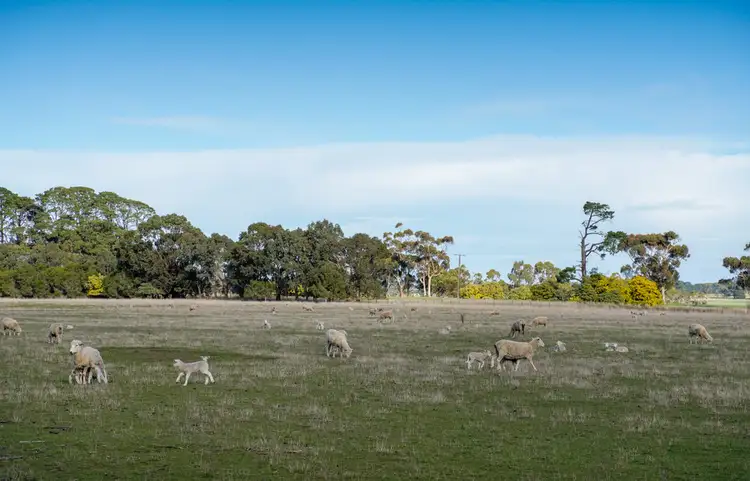 Sixth view of Homely rural property listing, 164 STRACHANS ROAD, Strathkellar VIC 3301
