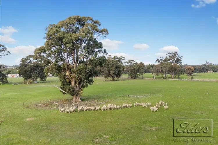 Fourth view of Homely land listing, 90 CANNY ROAD, Eppalock VIC 3551