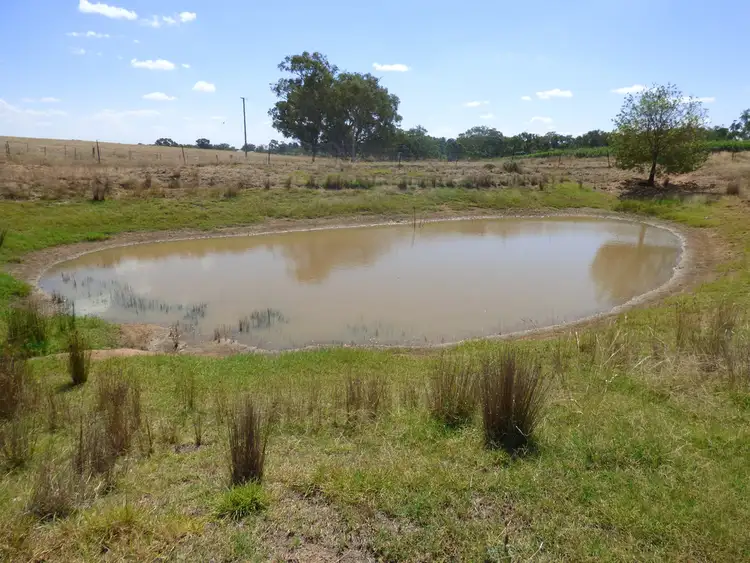 Sixth view of Homely house listing, 129 Jasprizza Lane, Young NSW 2594