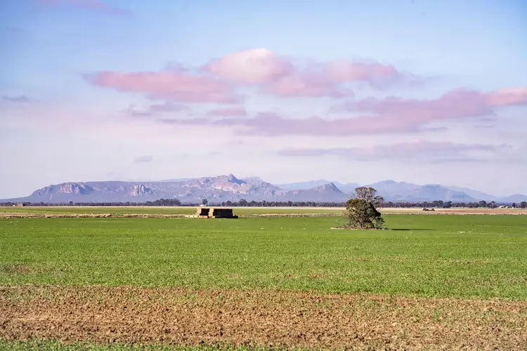 Main view of Homely rural property listing, CA 200-207 Ballyglunin North Road, Drung VIC 3401