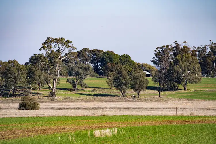 Second view of Homely rural property listing, CA 200-207 Ballyglunin North Road, Drung VIC 3401