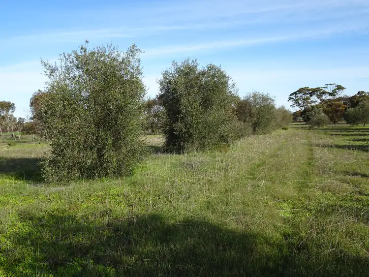Seventh view of Homely rural property listing, Lot 5980 Brookton Kweda Road, Aldersyde WA 6306