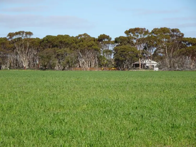 Main view of Homely rural property listing, Lot 9790 Neve Road, Pingrup WA 6343