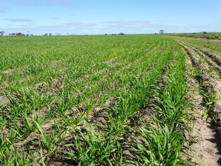 Second view of Homely rural property listing, Lot 9790 Neve Road, Pingrup WA 6343