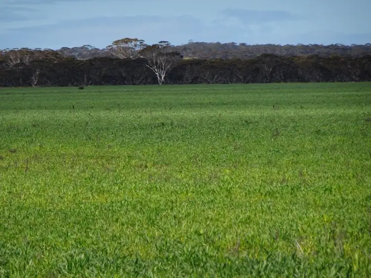 Third view of Homely rural property listing, Lot 9790 Neve Road, Pingrup WA 6343