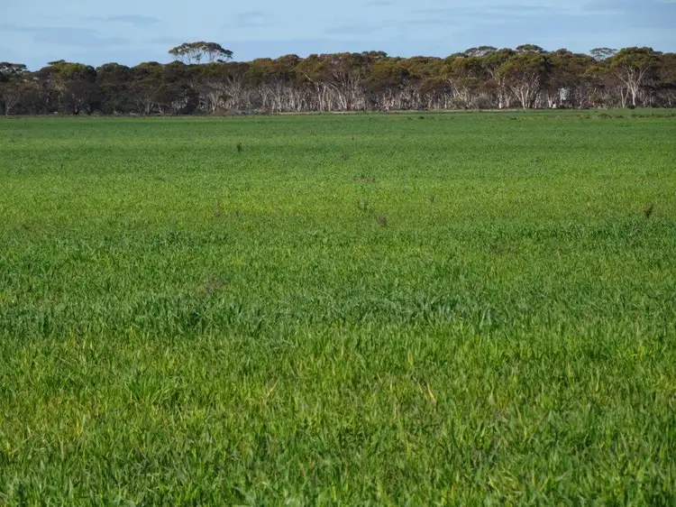 Fourth view of Homely rural property listing, Lot 9790 Neve Road, Pingrup WA 6343