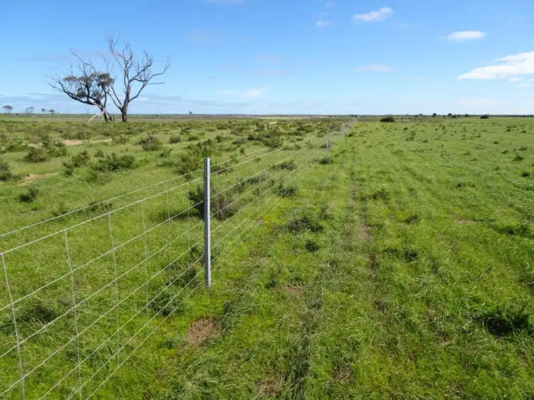 Fifth view of Homely rural property listing, Lot 9790 Neve Road, Pingrup WA 6343