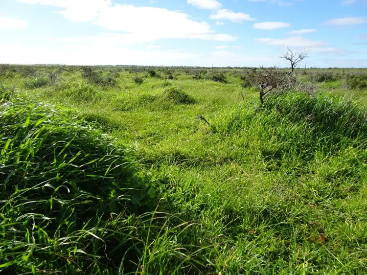 Sixth view of Homely rural property listing, Lot 9790 Neve Road, Pingrup WA 6343