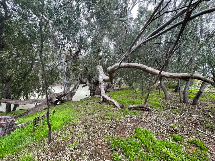 Fourth view of Homely land listing, 9 Billabong Creek Drive (Conargo), Deniliquin NSW 2710