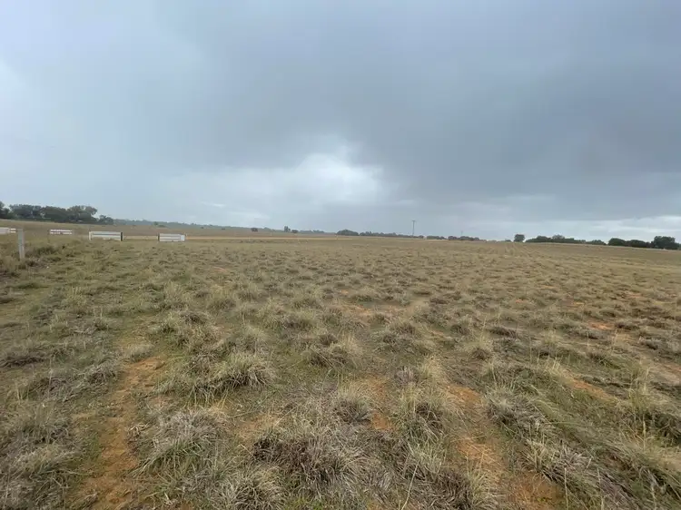Sixth view of Homely land listing, 9 Billabong Creek Drive (Conargo), Deniliquin NSW 2710