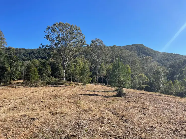 Main view of Homely land listing, 702 Browns Creek Road, Eerwah Vale QLD 4562