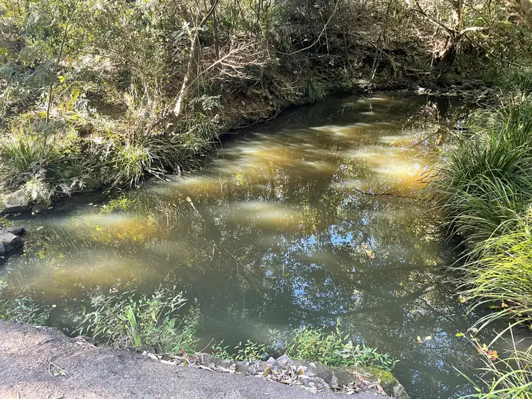 Fourth view of Homely land listing, 702 Browns Creek Road, Eerwah Vale QLD 4562