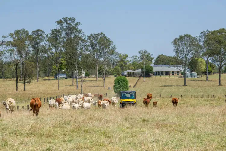 Main view of Homely house listing, 3364 D'Aguilar Highway, Stony Creek QLD 4514