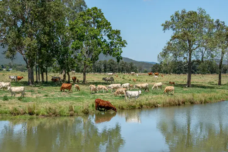 Second view of Homely house listing, 3364 D'Aguilar Highway, Stony Creek QLD 4514