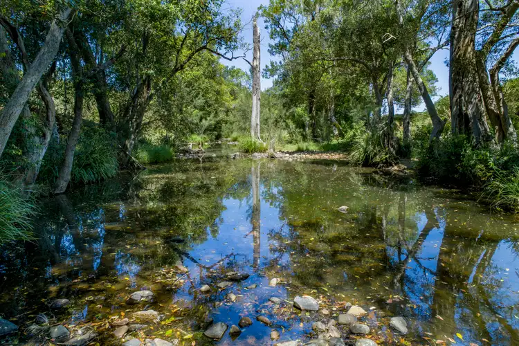 Fourth view of Homely house listing, 3364 D'Aguilar Highway, Stony Creek QLD 4514