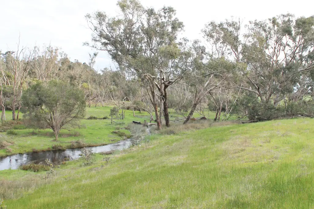 Main view of Homely land listing, Lot 42 Wingebellup Road, Frankland River WA 6396