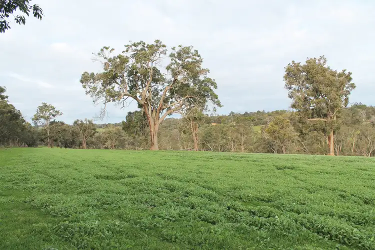 Fifth view of Homely land listing, Lot 42 Wingebellup Road, Frankland River WA 6396