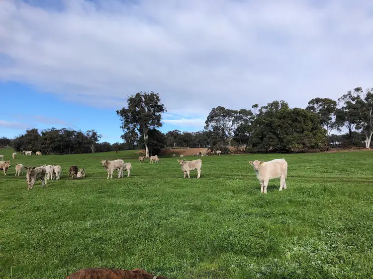 Second view of Homely rural property listing, 910 BERRY BROW ROAD, Woottating WA 6562