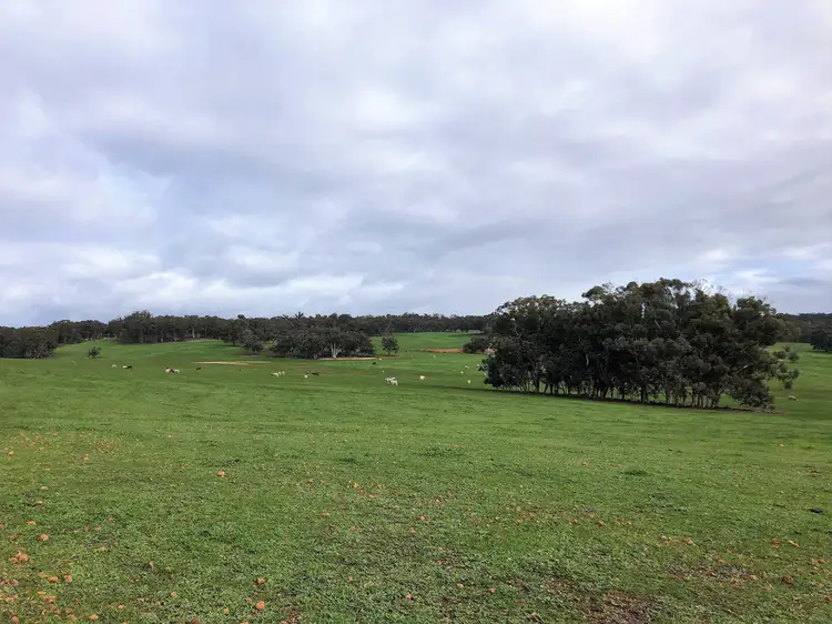 Fifth view of Homely rural property listing, 910 BERRY BROW ROAD, Woottating WA 6562