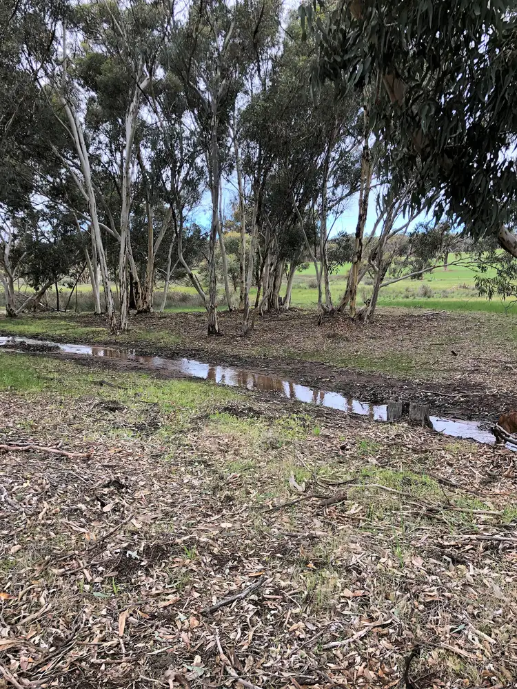 Seventh view of Homely rural property listing, 910 BERRY BROW ROAD, Woottating WA 6562