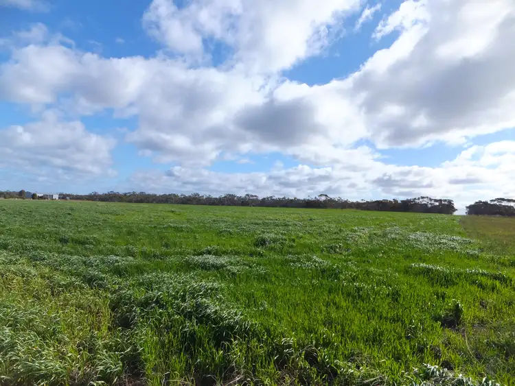 Fourth view of Homely land listing, LOT 515, 22 Verrucosa Parade, Hopetoun WA 6348