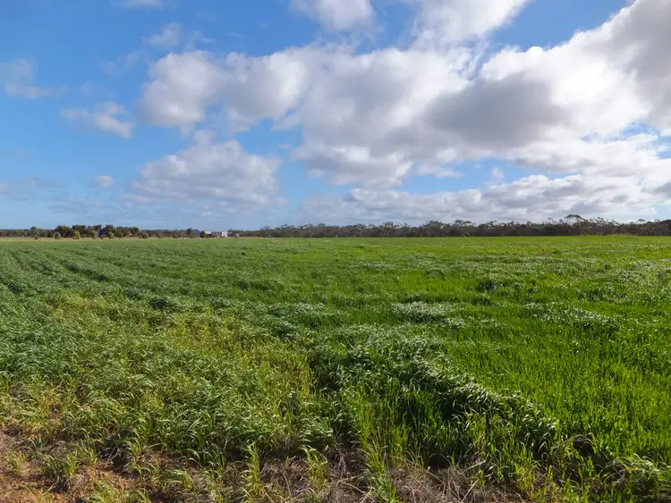 Sixth view of Homely land listing, LOT 515, 22 Verrucosa Parade, Hopetoun WA 6348