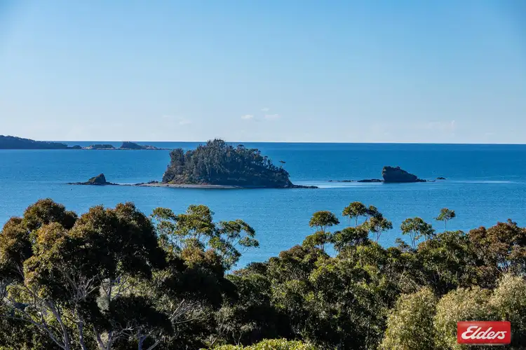 37B Ridge Street, Catalina NSW 2536