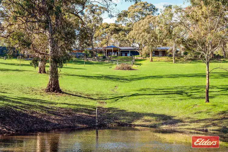501 Yettie Road, Williamstown SA 5351