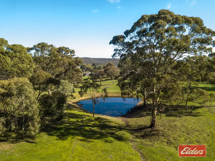 Third view of Homely house listing, 501 Yettie Road, Williamstown SA 5351