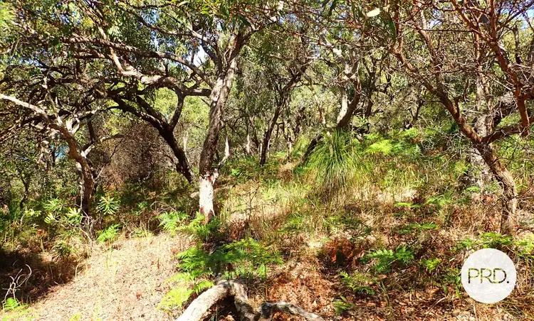 Sixth view of Homely land listing, 152 Sunbird Avenue, Agnes Water QLD 4677