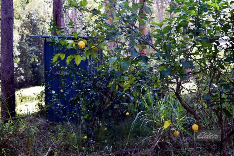 Fourth view of Homely land listing, Lot 31 Emma Road, Bauple QLD 4650