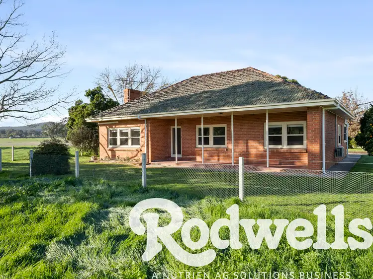 25 Rogash Road, Upper Ryans Creek VIC 3673