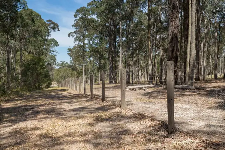 Sixth view of Homely land listing, 36 Collett Place, Meringo NSW 2537