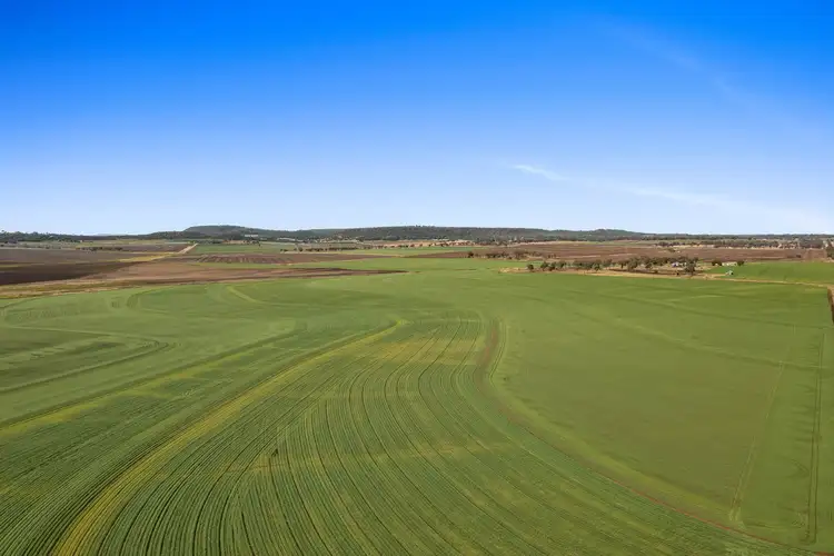 Seventh view of Homely rural property listing, 187 Felton Clifton Road, Felton QLD 4358