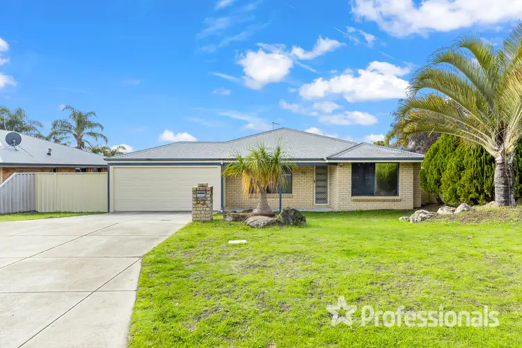63 Celadon Loop, Banksia Grove WA 6031