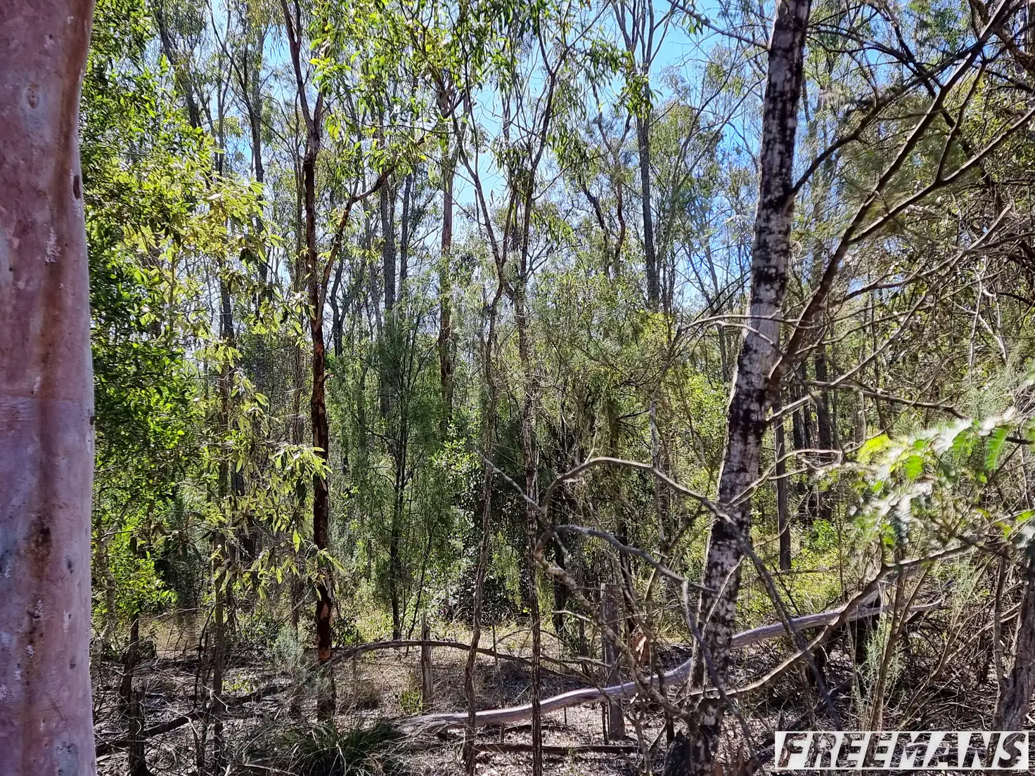 Main view of Homely land listing, LOT 8 Whitaker Road, Nanango QLD 4615
