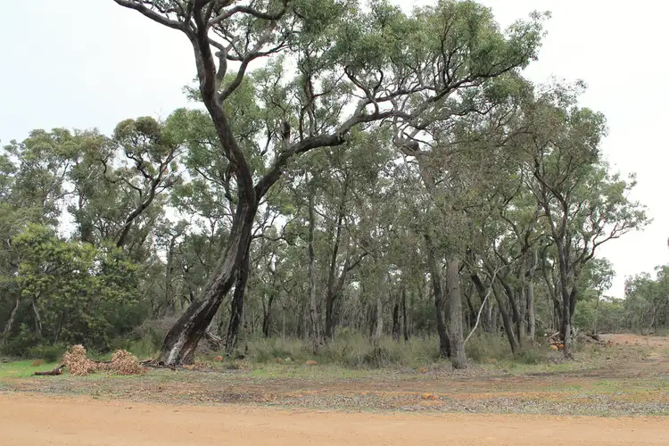 Second view of Homely land listing, 7 Worth Court, Mount Barker WA 6324