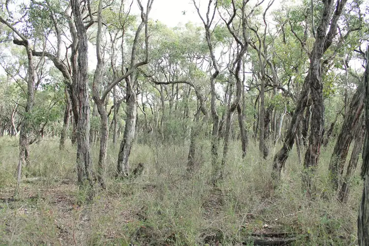 Sixth view of Homely land listing, 7 Worth Court, Mount Barker WA 6324