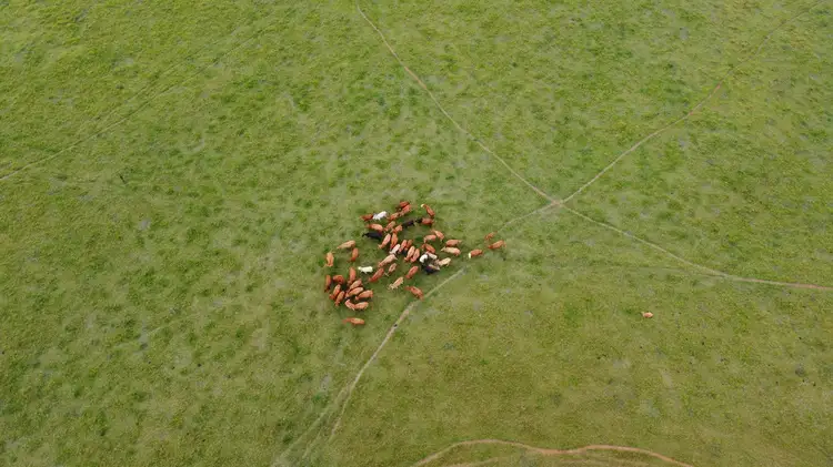 Address available on request